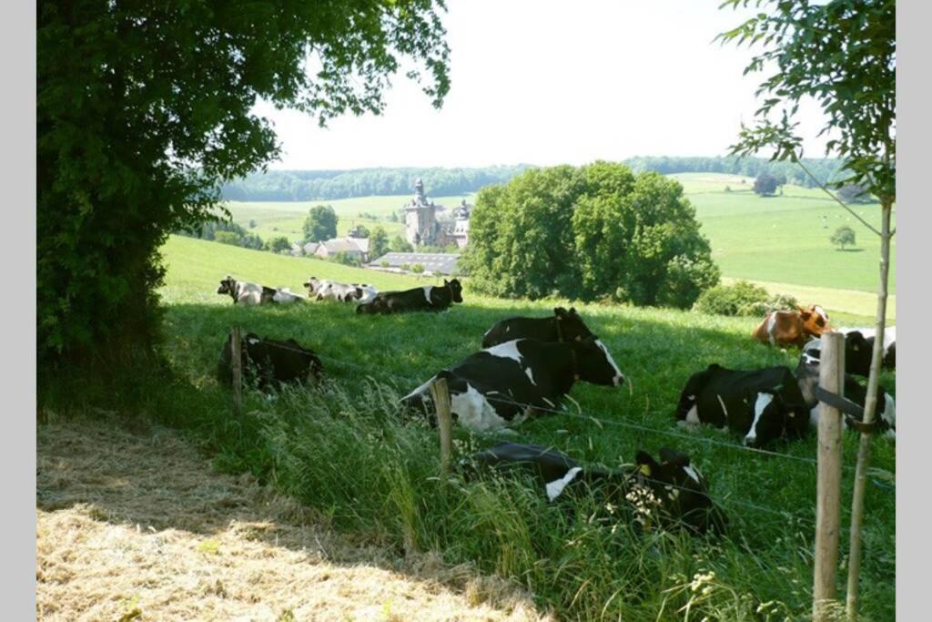 Hoeve Espewey Cottage Hombourg Екстер'єр фото